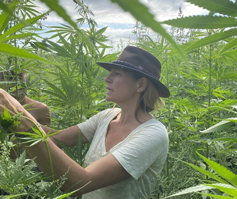 Charlotte dans les plants de chanvre